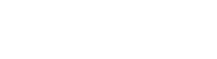 Bravura Solutions